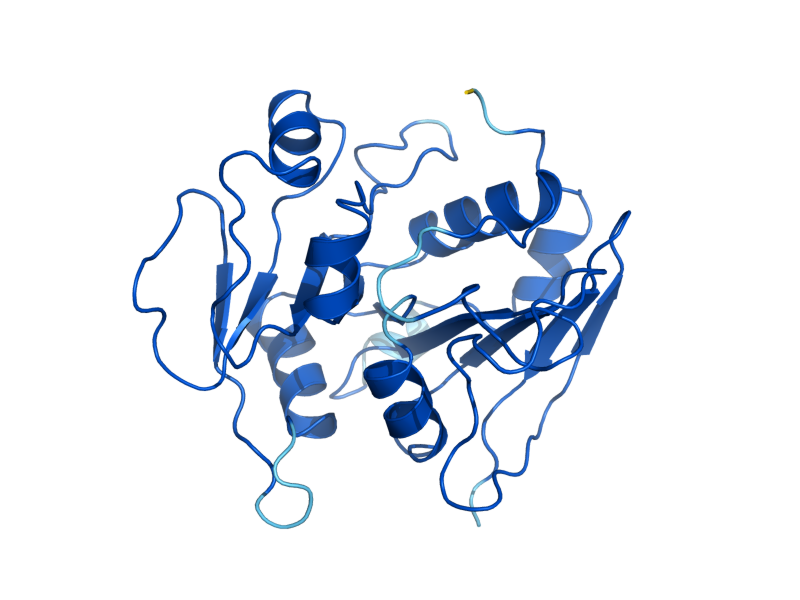 AlphaFold predicted structure of RIB7