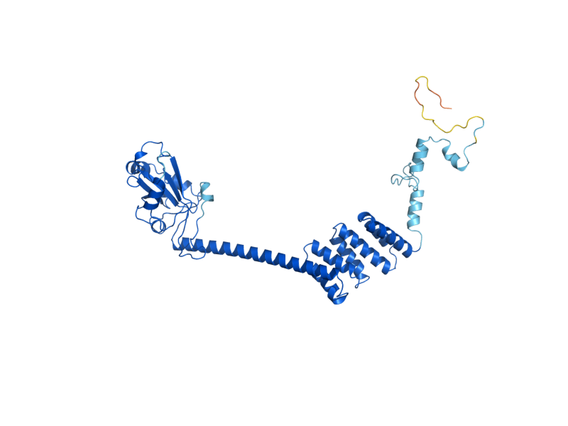 AlphaFold predicted structure of CNS1