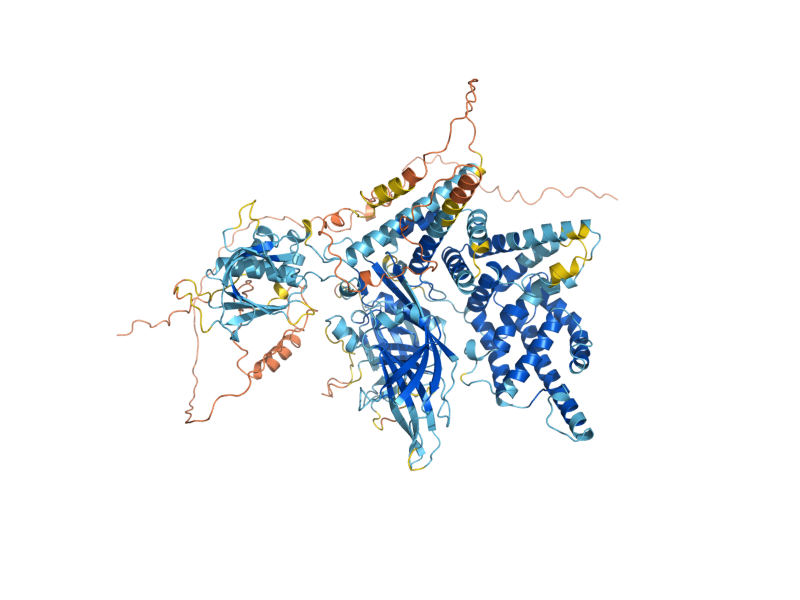 AlphaFold predicted structure of BUD2