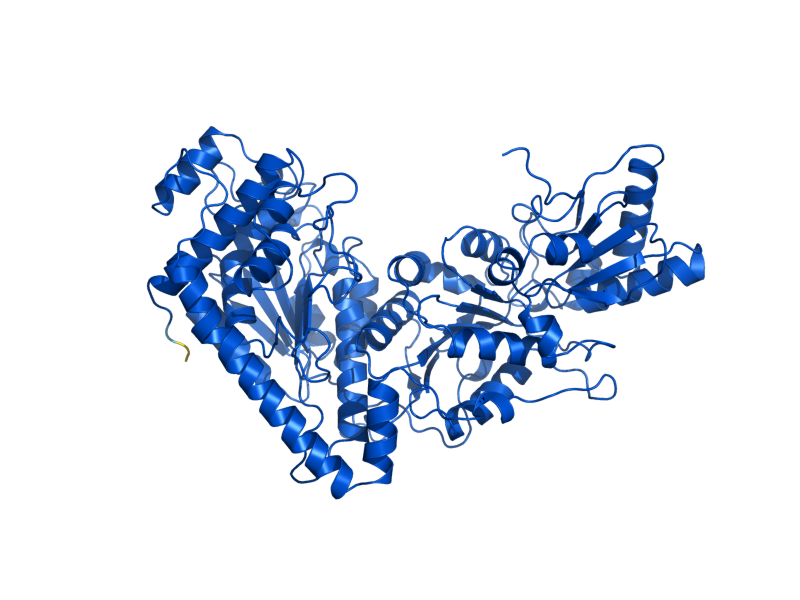 AlphaFold predicted structure of TKL2