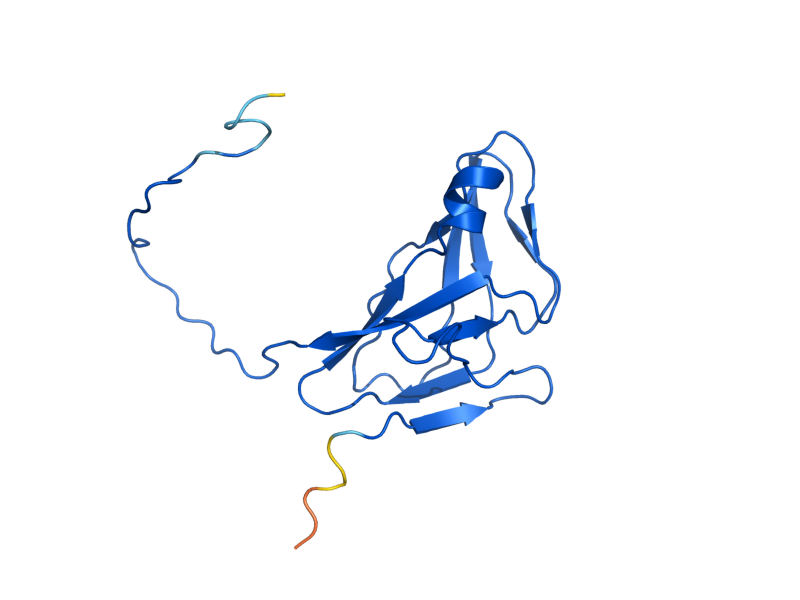 AlphaFold predicted structure of DUT1