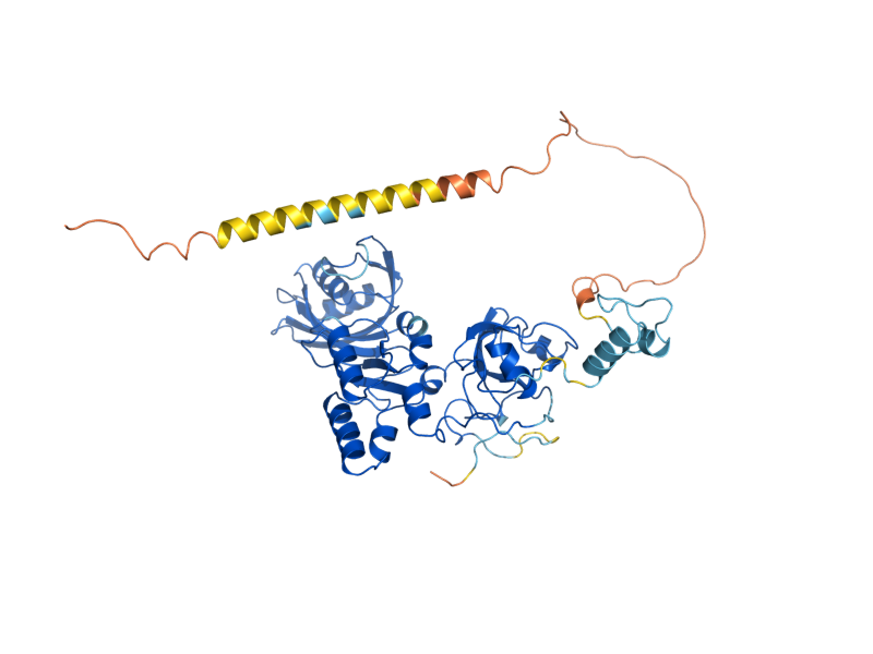 AlphaFold predicted structure of CBF5