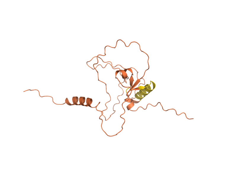 AlphaFold predicted structure of REC104