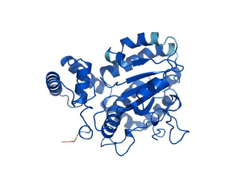 AlphaFold predicted structure of YKL091C