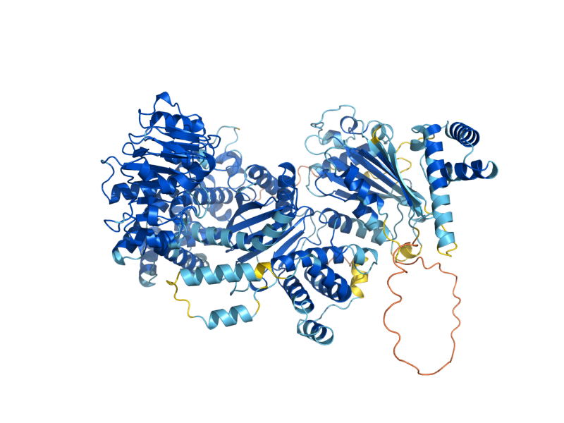 AlphaFold predicted structure of GDH2
