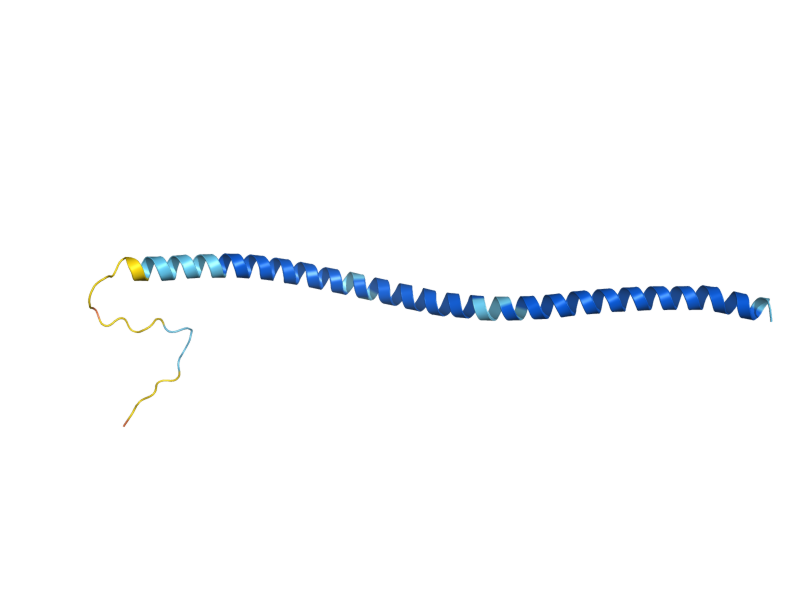 AlphaFold predicted structure of SNC2