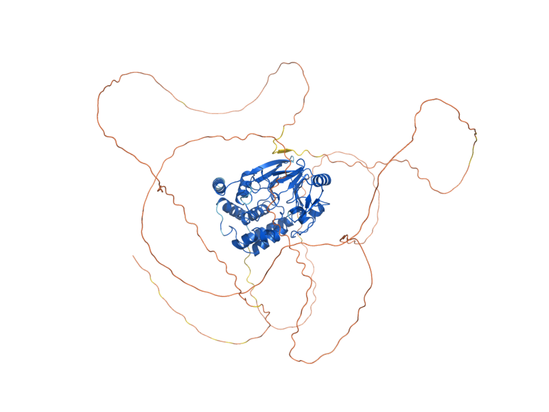 AlphaFold predicted structure of PPZ2