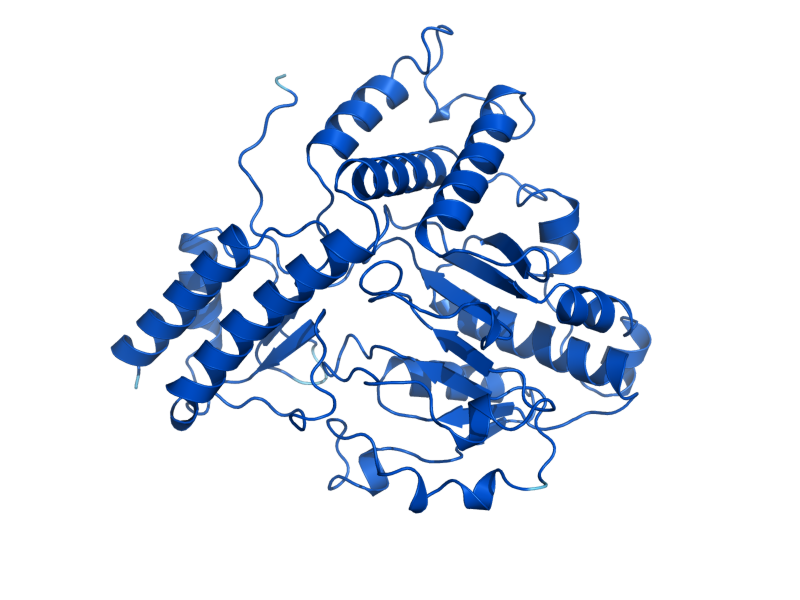 AlphaFold predicted structure of SER1