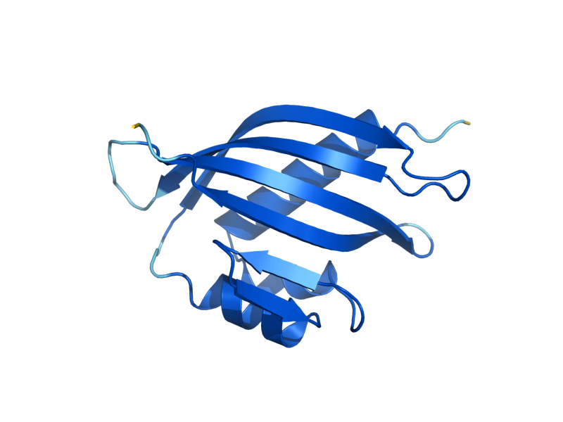 AlphaFold predicted structure of NTF2