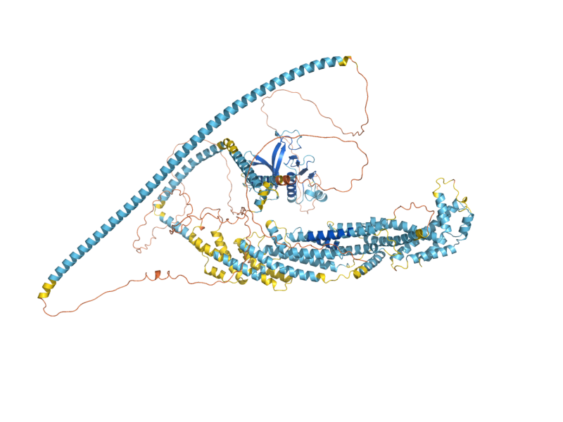 AlphaFold predicted structure of SEC3