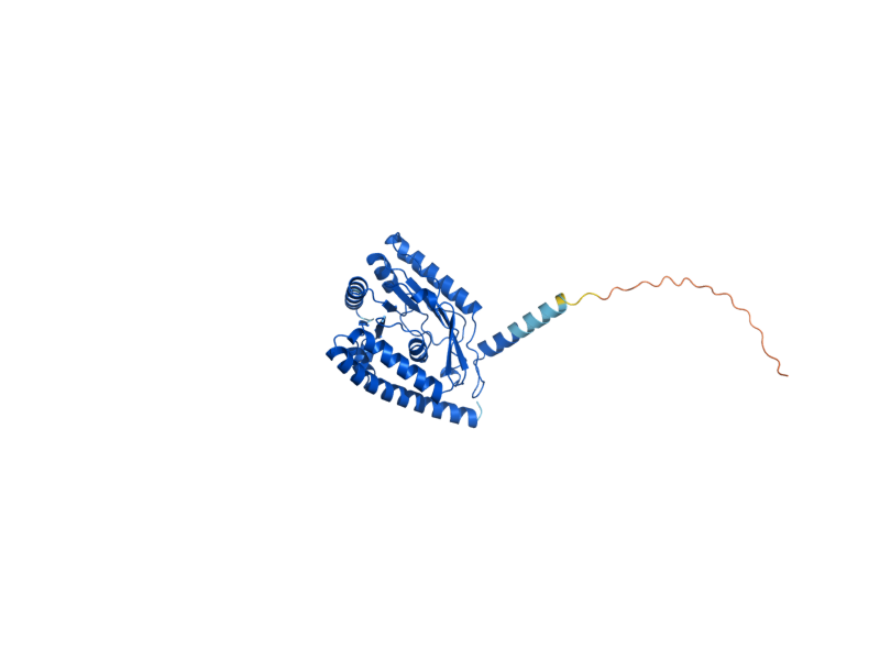 AlphaFold predicted structure of SLC1