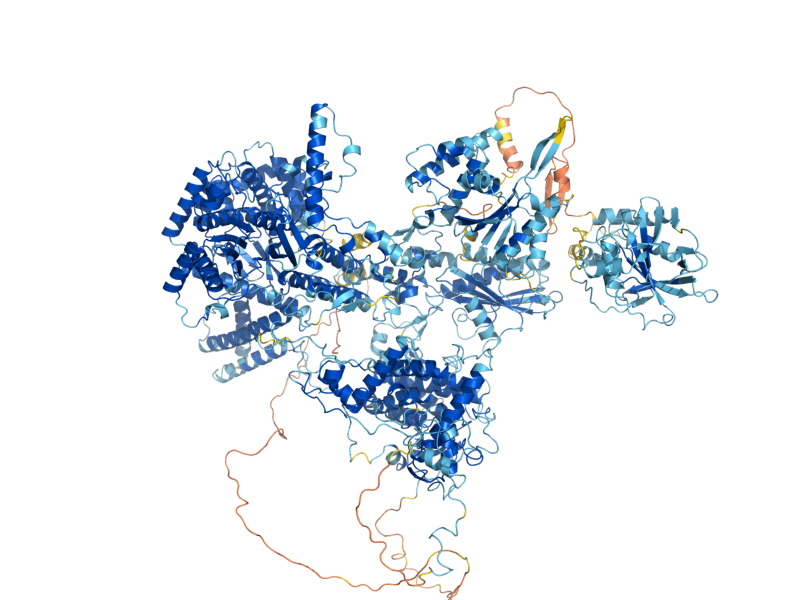 AlphaFold predicted structure of PRP8