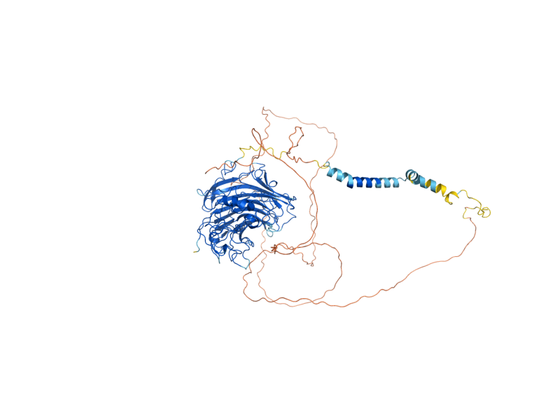 AlphaFold predicted structure of SKN1