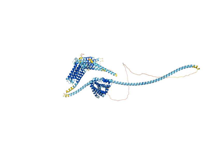 AlphaFold predicted structure of SLA2