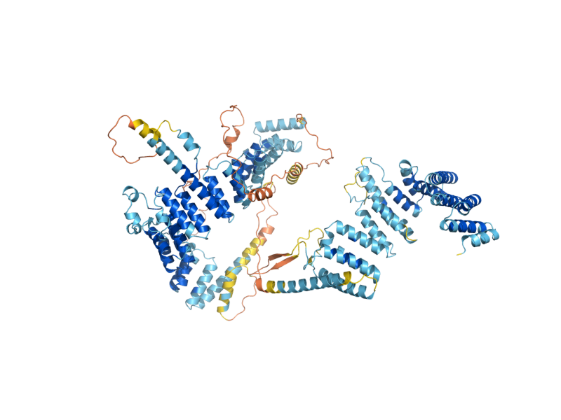 AlphaFold predicted structure of TFC4