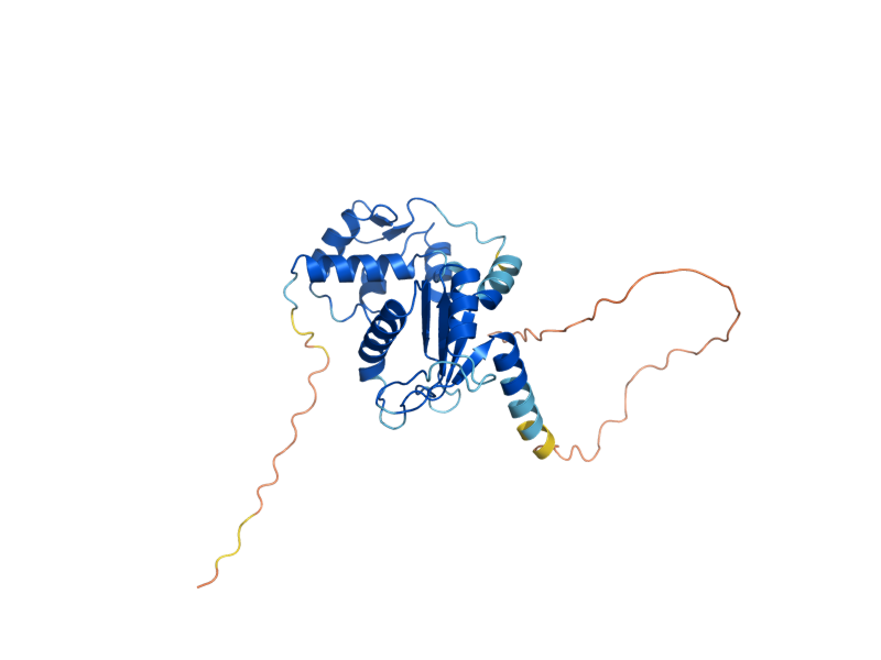 AlphaFold predicted structure of LHP1