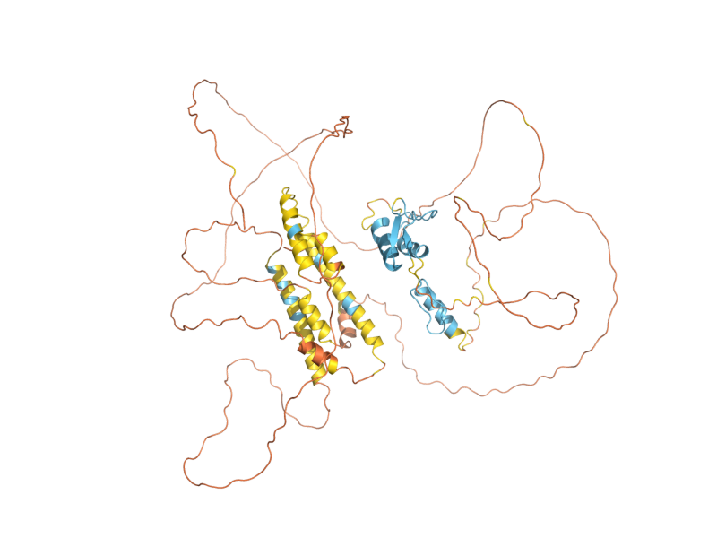 AlphaFold predicted structure of RIM101
