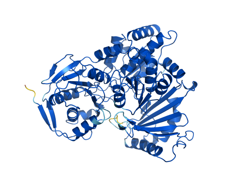 AlphaFold predicted structure of PGM1