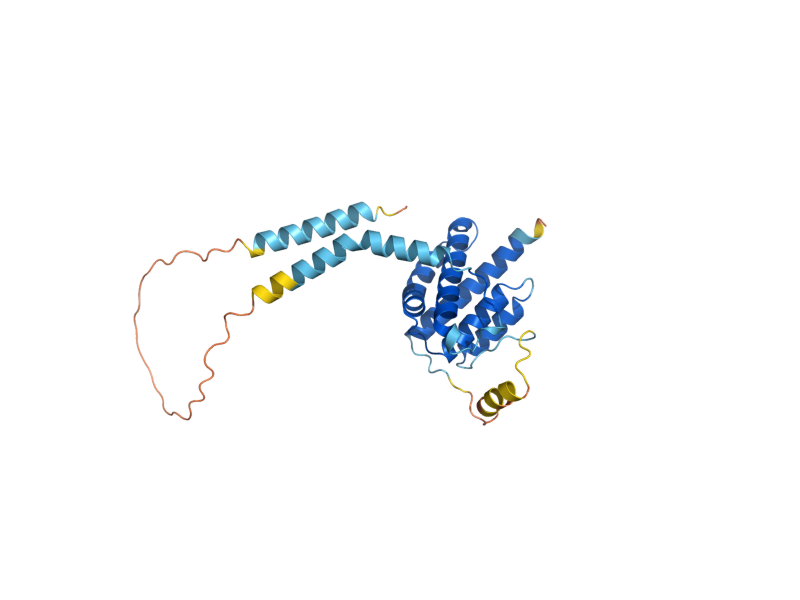 AlphaFold predicted structure of PRP18
