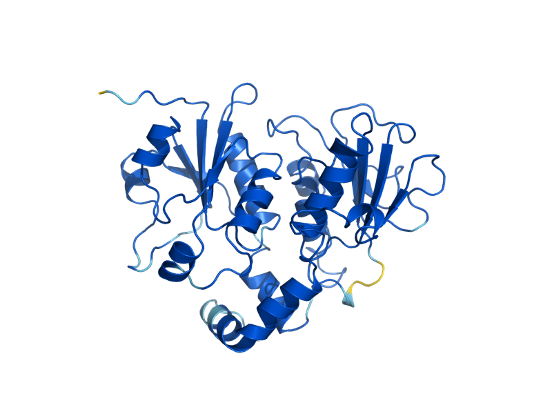 AlphaFold predicted structure of ECT1