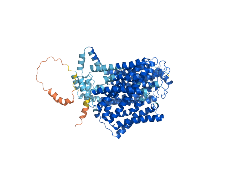 AlphaFold predicted structure of DUR3