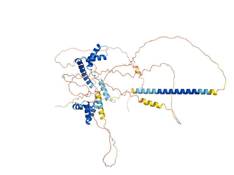 AlphaFold predicted structure of IXR1