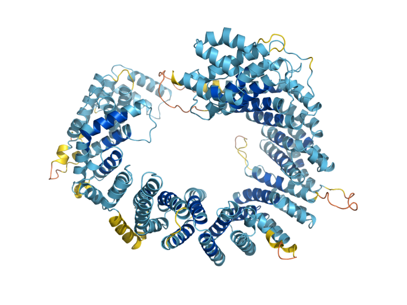AlphaFold predicted structure of LOS1