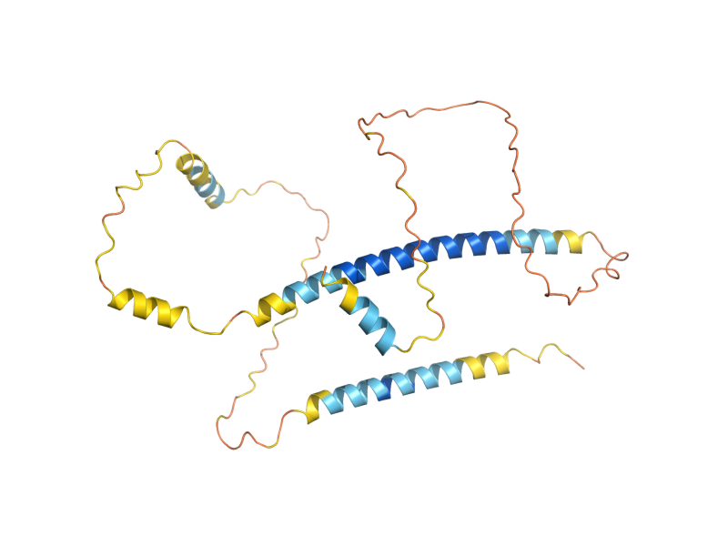 AlphaFold predicted structure of SPC29