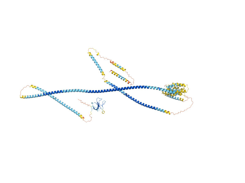 AlphaFold predicted structure of NIP100