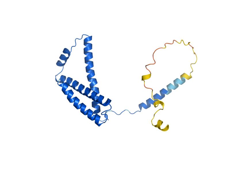 AlphaFold predicted structure of SDH3