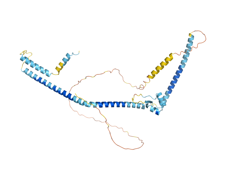 AlphaFold predicted structure of MFT1