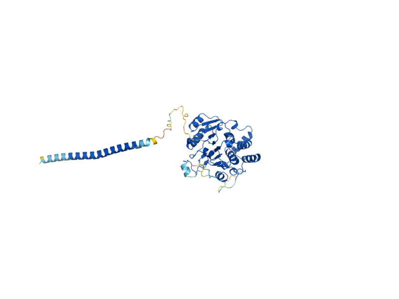 AlphaFold predicted structure of KTR2