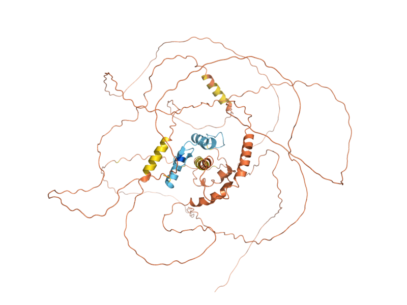 AlphaFold predicted structure of MSN2