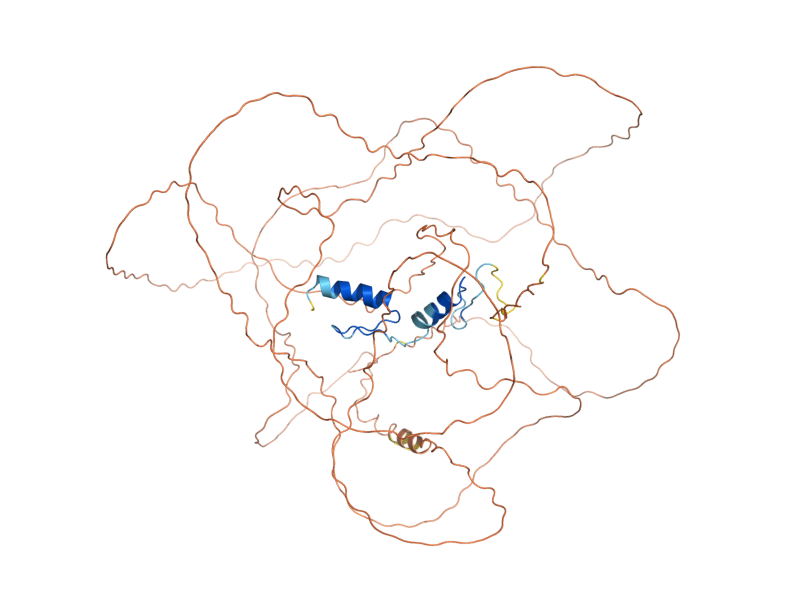 AlphaFold predicted structure of MSN4
