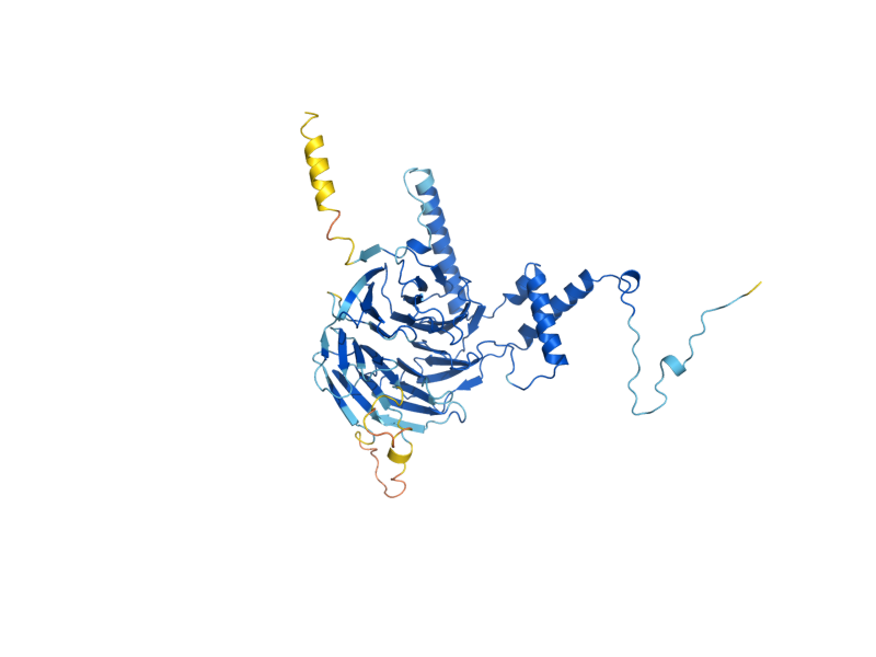 AlphaFold predicted structure of SOF1