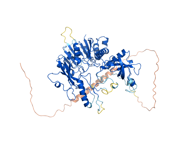 AlphaFold predicted structure of TRM2
