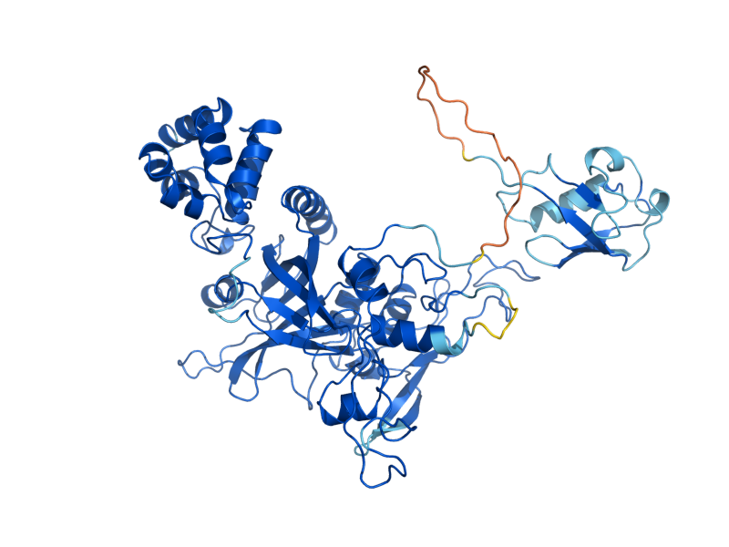 AlphaFold predicted structure of NPL4