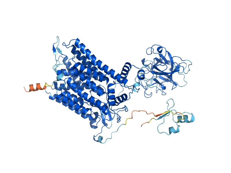 AlphaFold predicted structure of PMT1