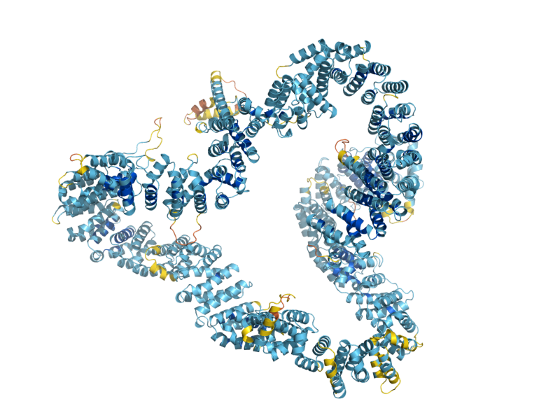 AlphaFold predicted structure of GCN1