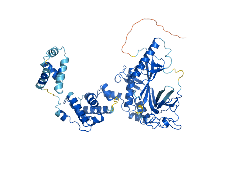 AlphaFold predicted structure of PET112