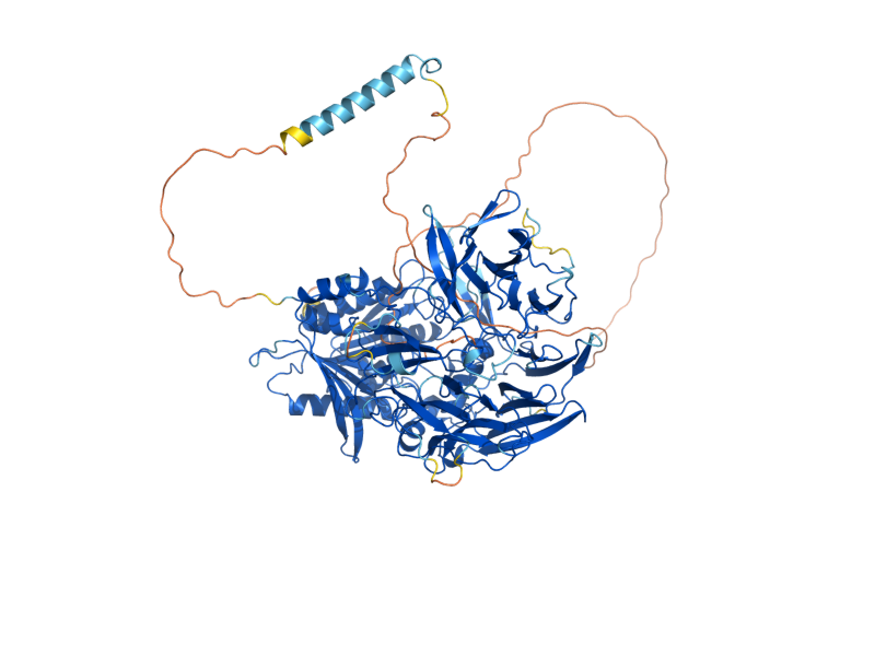 AlphaFold predicted structure of STE13