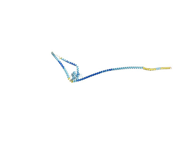 AlphaFold predicted structure of NUF2