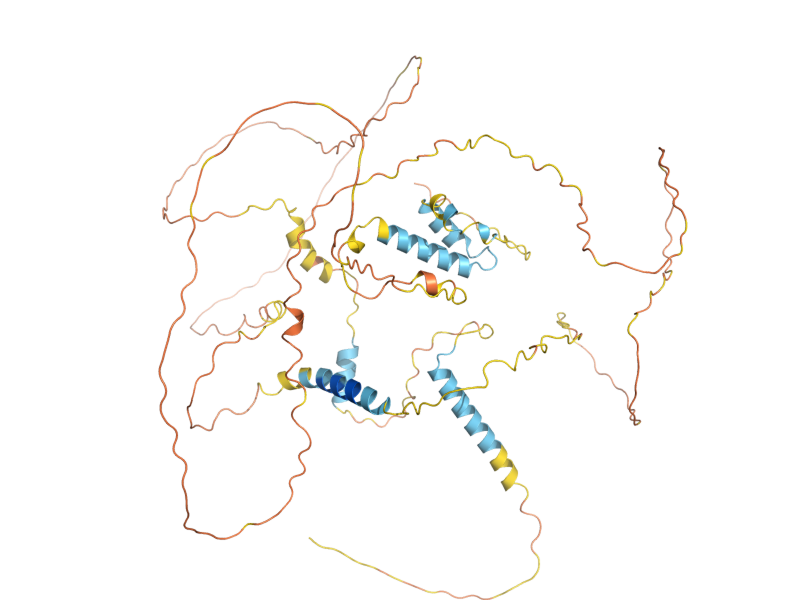 AlphaFold predicted structure of MKS1