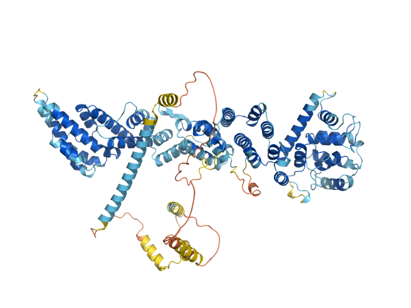 AlphaFold predicted structure of NIC96