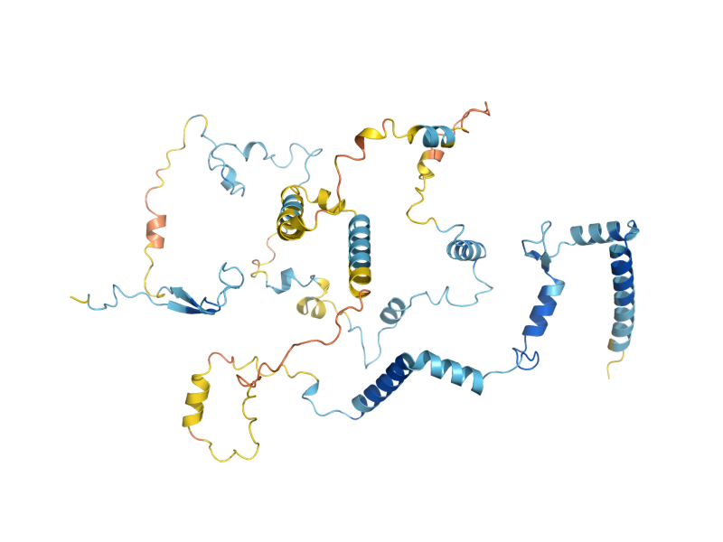 AlphaFold predicted structure of LTV1