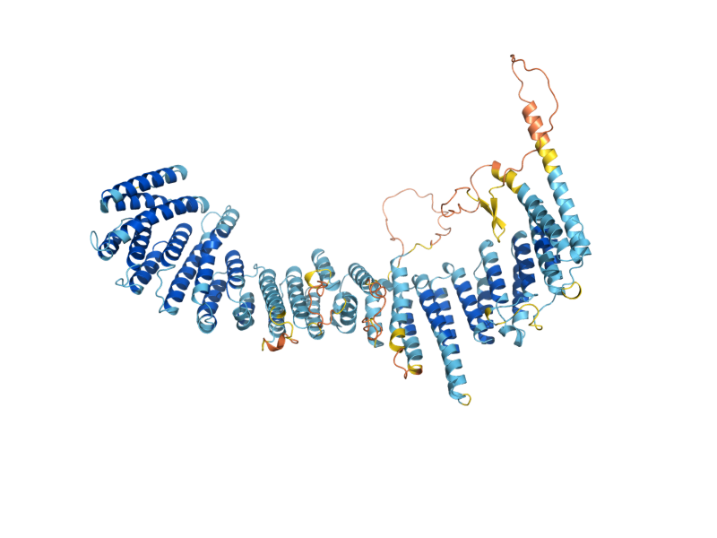 AlphaFold predicted structure of VPS35