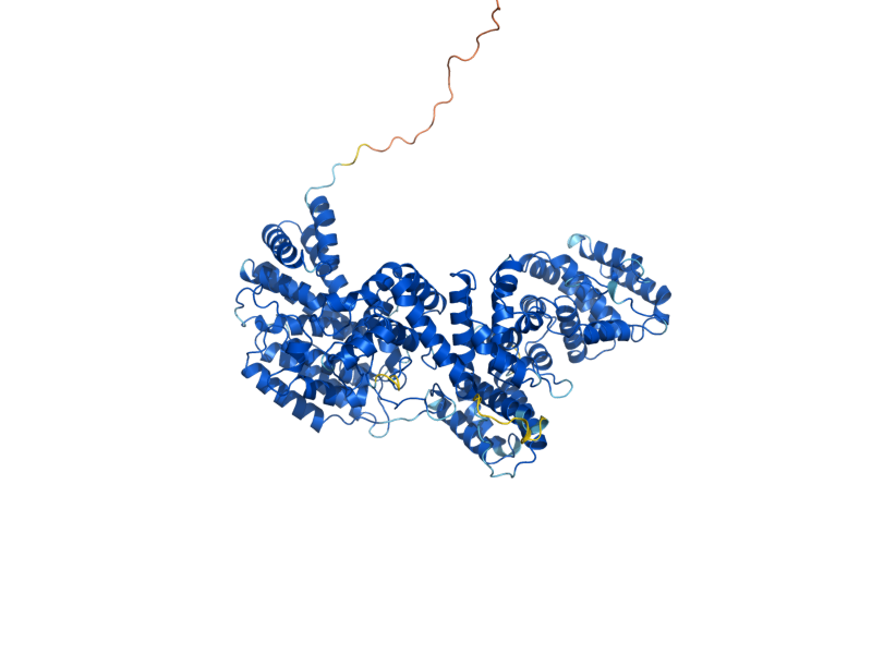 AlphaFold predicted structure of STO1