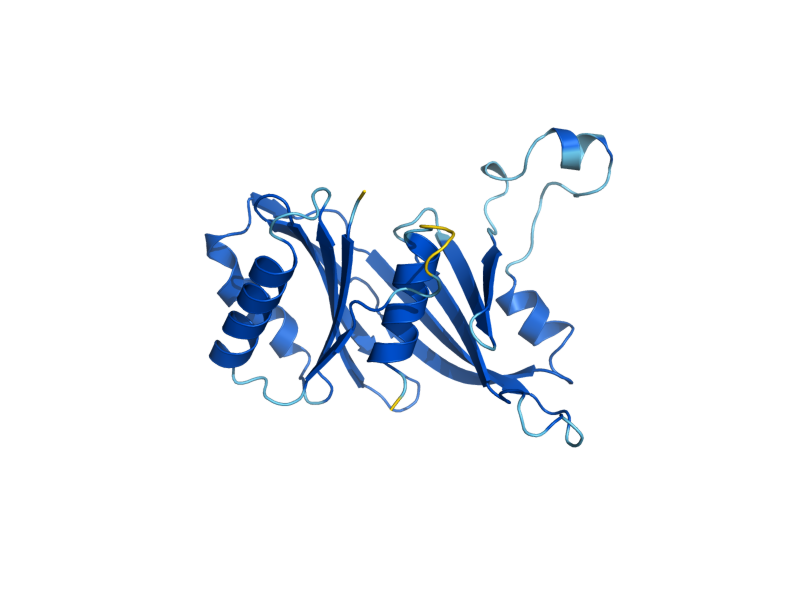 AlphaFold predicted structure of SRB2