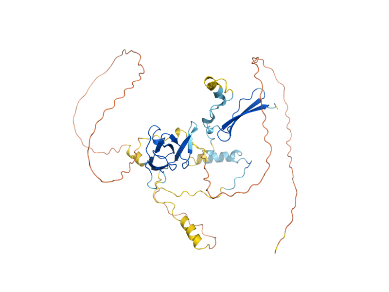 AlphaFold predicted structure of SIP2