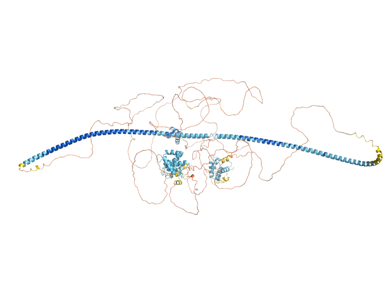 AlphaFold predicted structure of EDE1